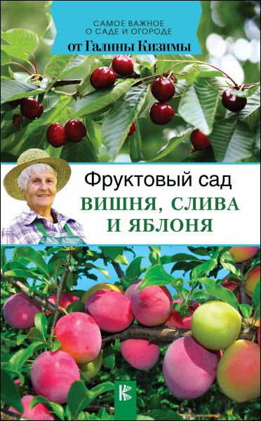 Галина Кизима. Фруктовый сад. Вишня, слива и яблоня