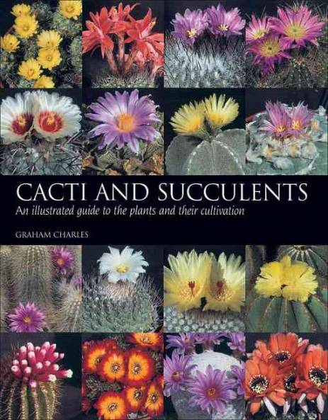 Cacti and Succulents