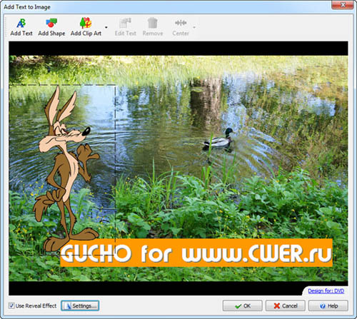 DVD PixPlay 7.04.921